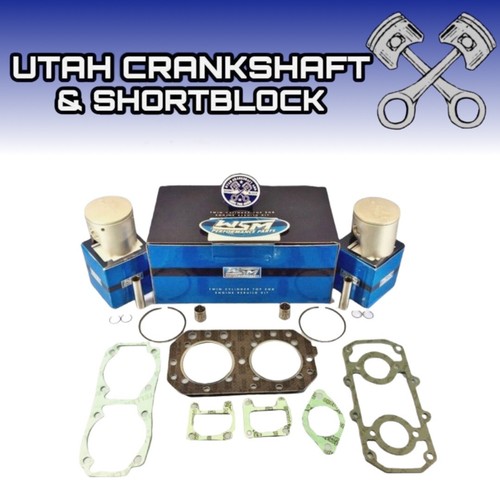 Wsm top end rebuild kit - top,