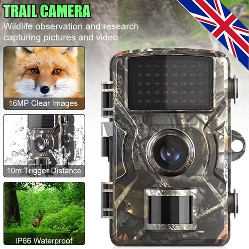 Outdoor wildlife trail - outdoor, camera