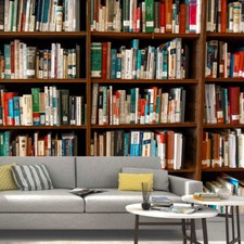 Bookcase Library Book Shelve