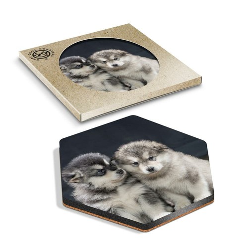 Hexagon coaster alaskan - hexagon,