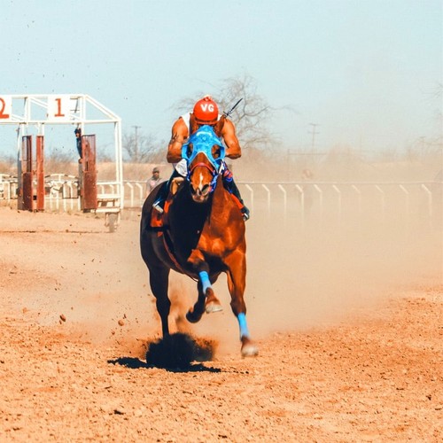 The handicap each way - handicap,