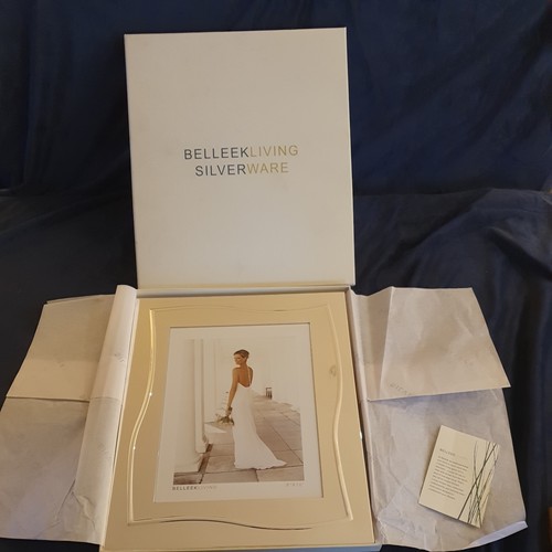 Belleek living silver wave - belleek,