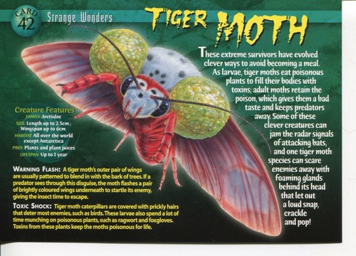Weird wild creatures - weird,