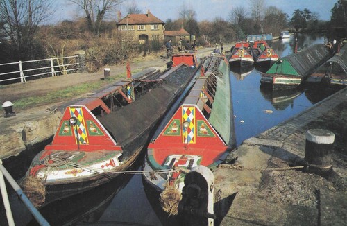 11217 postcard showing - 11217,