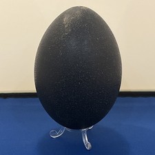 Emu Egg On black Stand 14cm