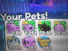 🌟✨Pet simulator X Roblox