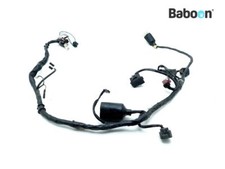 Wiring Harness (Main) Honda