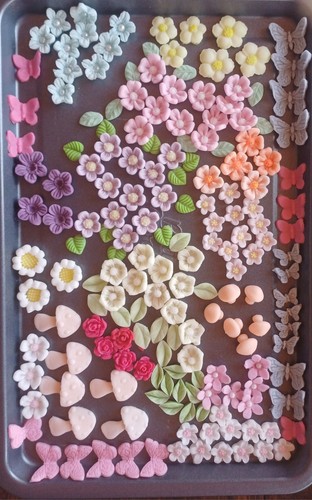 Blossom flower leaves - blossom,