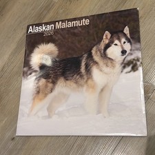 Alaskan Malamute 2026 Calendar