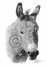 DONKEY pencil drawing - artwork print A3 / A4 sizes - signed by artist G Tymon