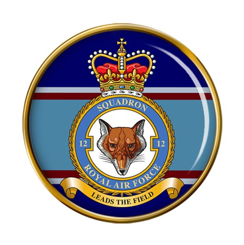 Squadron raf pin badge - 12, squadron,
