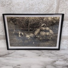 Framed Horse Drawn Wagon