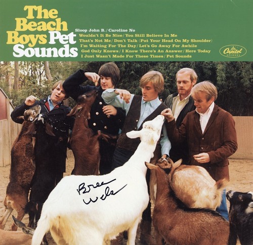 Brian wilson the beach boys - wilson,