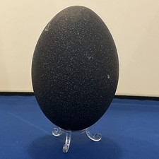 Emu Egg On clear  Stand 14cm