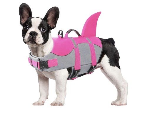 Citétoile dog life - dog, jacket
