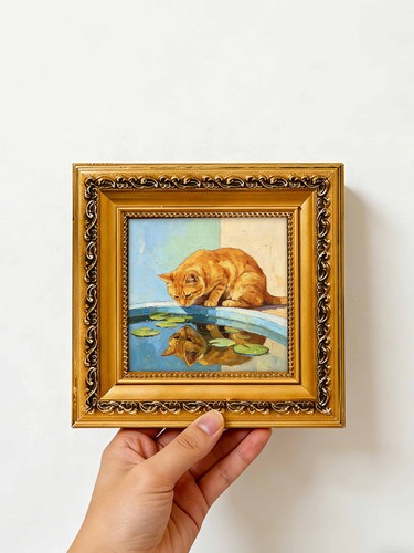 Curious orange cat - curious, water