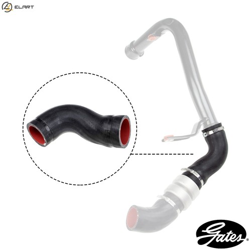 Charge air hose - charge,