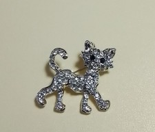 Beautiful Kitten / Cat