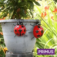 Primus Medium Ladybird Wall