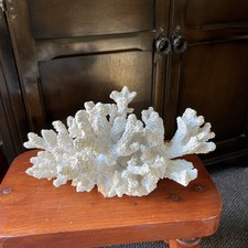 Large Decorative White Coral Display Sculpture 