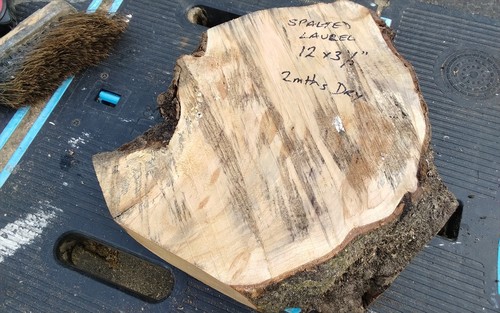 Spalted laurel bowl - bowl, blank