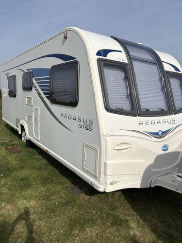 Bailey pegasus rimini - pegasus, birth