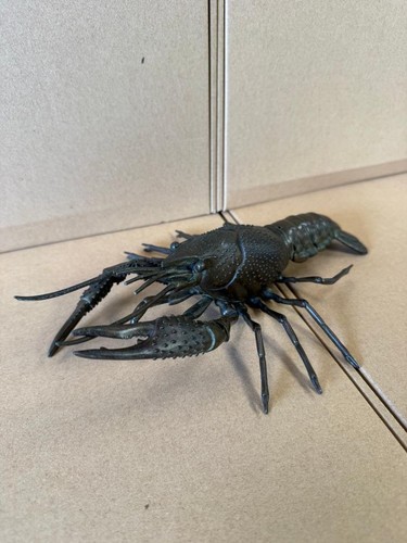 Japanese bronze lobster - bronze,