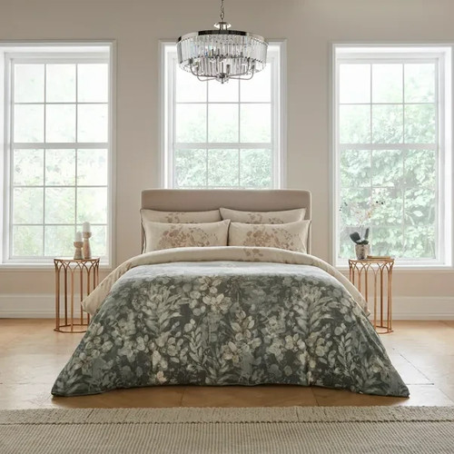 New pack dorma whispering - in,