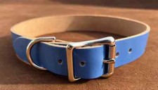 Blue dog collar real - dog,
