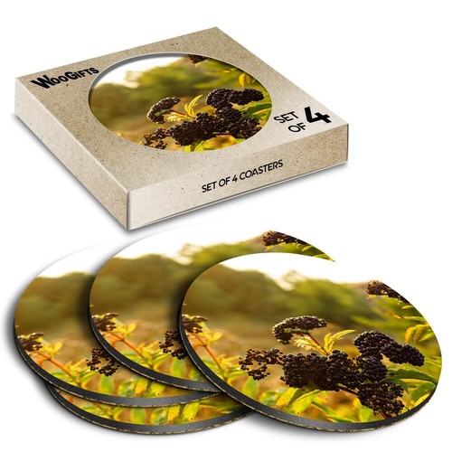 Round mdf coaster - round,