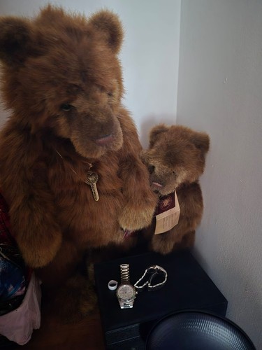 Charlie bears selection of - bears.,