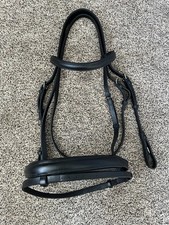 Gorgeous Horse Full Passier