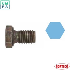 SCREW PLUG OIL SUMP 220115S