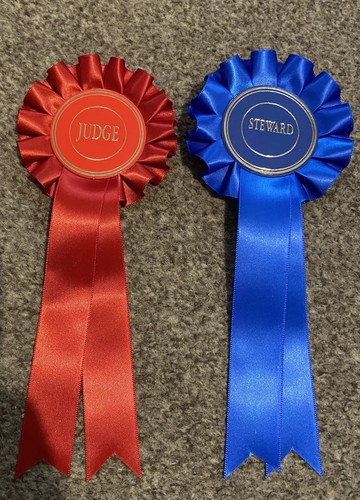 Horse dog show - horse/dog, competition