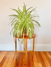 Vintage Folding Side Table