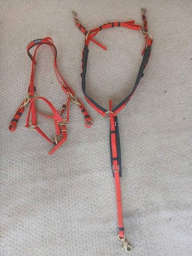 Zilco endurance set - set., arab
