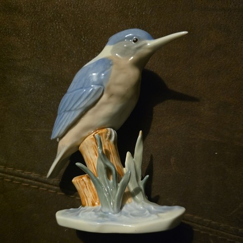 Porcelain blue kingfisher - blue,