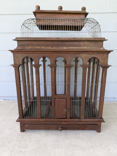Rare large majestic - wood, bird