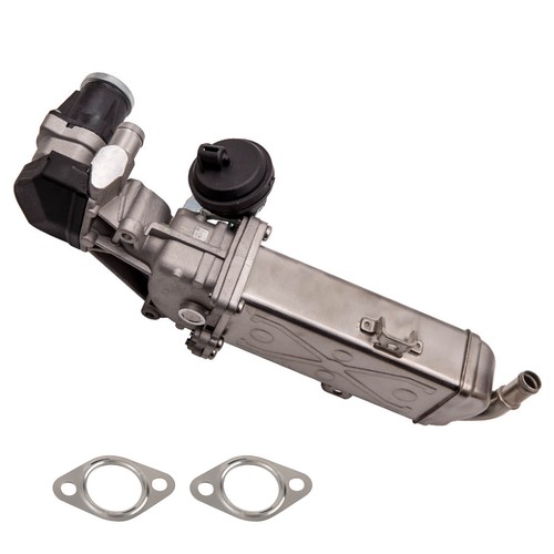 Egr exhaust gas valve for - exhaust,