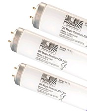 Sunbeds Tanning Lamps Magic