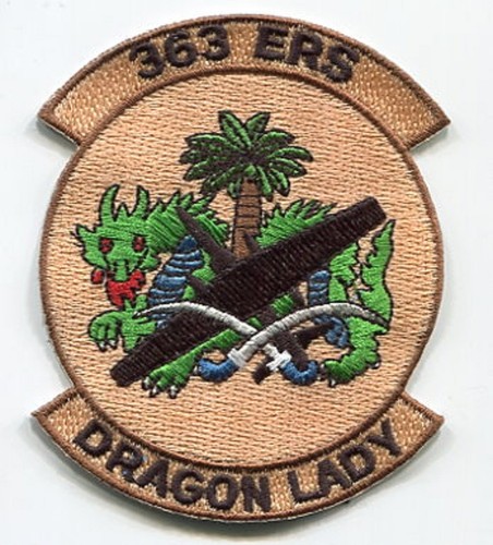 Usaf 363rd expeditionary - 363rd,