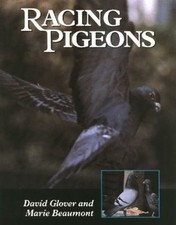 Racing Pigeons Hardcover
