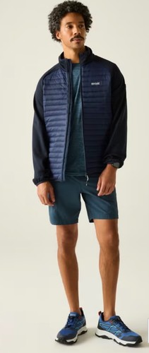 Regatta clumber hybrid - clumber,