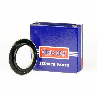 Borg beck suspension strut - suspension,