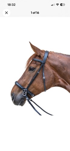 Leather bitless bridle padded - leather,
