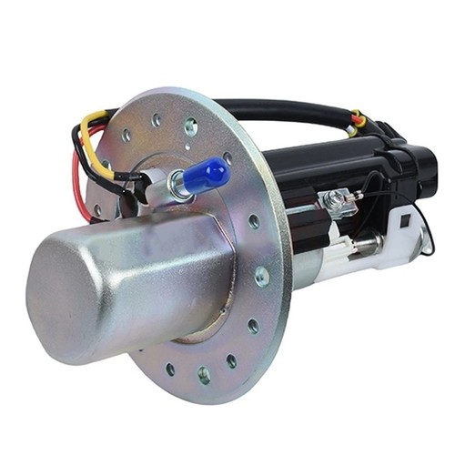 Fuel pump assembly for - fuel,