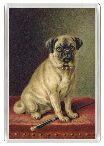 Pug dog fridge magnet - dog, great