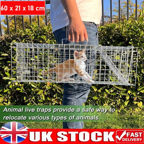 Live humane squirrel - rat, cage