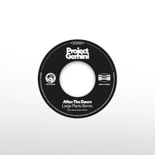 Project Gemini After the Dawn