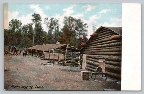 Maine logging camp - camp, site
